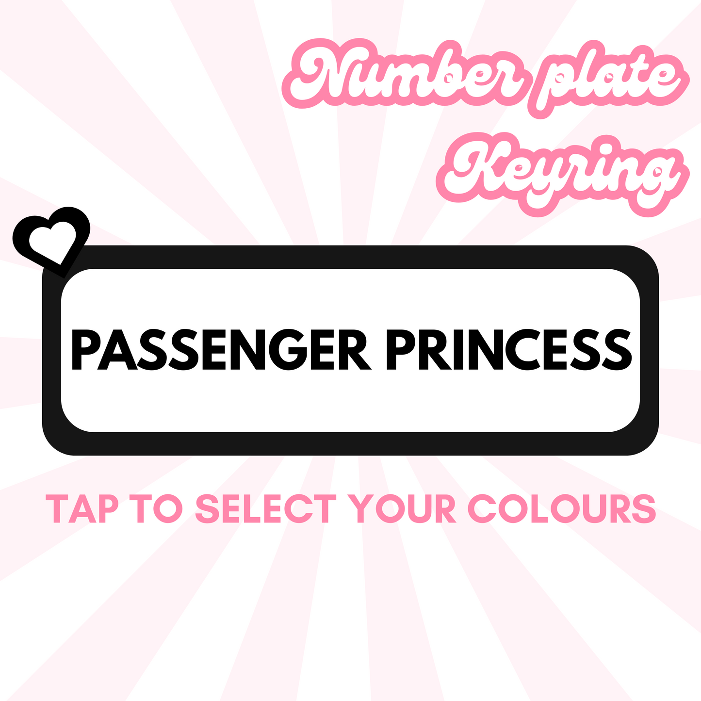 PASSENGER PRINCESS Number plate keyring